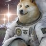 Dano's profile picture