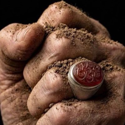 abo_amirkorashi's profile picture
