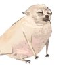 Фото профиля Gull