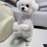꽝꽈라's profile picture