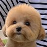 とある卓球部 profil fotoğrafı