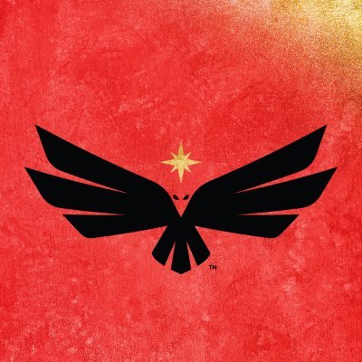 Vegas Knight Hawks's profile picture