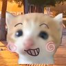 Profilbild von 果蔬汁