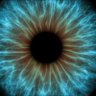 Jolly Joe's profile picture