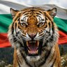 Tigre Búlgaro 的头像