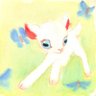 selkie 🍀's profile picture