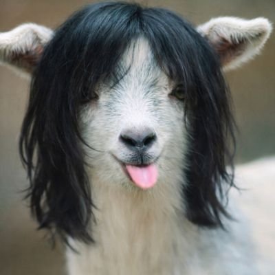 ElCompaBizarre's profile picture