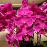 Фото профиля PG_财源滚滚(余姐)