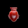The Egyptian Heart profil fotoğrafı