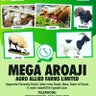 MEGA AROAJI AGRO ALLIED FARMS MAAF LTD 的头像