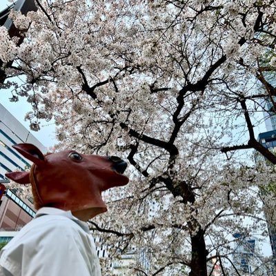 luffy_uma's profile picture