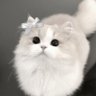 Profilbild von Lavina