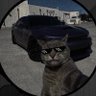 Headboy's profile picture
