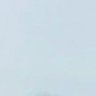 新宝島's profile picture