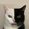 Future Timez's profile picture
