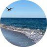 مريم محمد's profile picture
