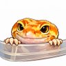Profilbild von TR