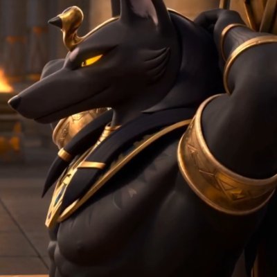 migrok's profile picture