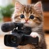 Фото профиля FurrMemesTV