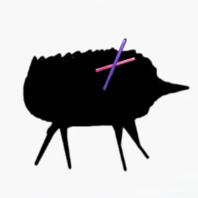 DouZi's profile picture