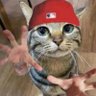 ThetrollOTB3 的头像