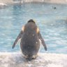 コウ profil fotoğrafı