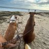 Фото профиля Yo soy Verito