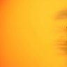 jєѕѕé тнє ƒιяѕт ✭ profil fotoğrafı