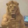 الكوماندوز تامر's profile picture