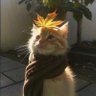𝐒𝐡𝐚's profile picture