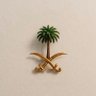 🇸🇦Sultan's profile picture