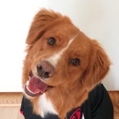 NarcoliesTV's profile picture