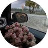 Razan profil fotoğrafı