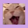top_g's profile picture