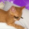 janjan12's profile picture