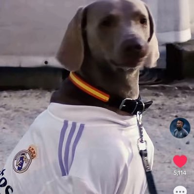 fc_jenny's profile picture
