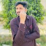 Profilbild von Faisal Bhutta