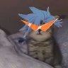 Profilbild von Awesome๐๐๐ดโโ ๏ธ๐