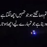 Profilbild von پاکستان ہمیشہ زندہ باد