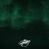 Wild🏒💚 的头像