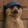Oloriebi's profile picture