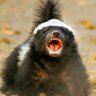 Jose Carral's profile picture