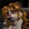 Dutch Anistar profil fotoğrafı