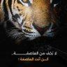 Profilbild von ناصر العارده