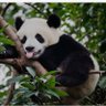 Andy profil fotoğrafı