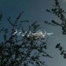 أبو عبد الله 的头像