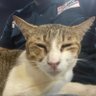 rawrrrrr's profile picture