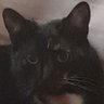 Yuhwhu's profile picture