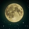 MorningStar's profile picture