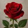 Фото профиля 🌹aljoury